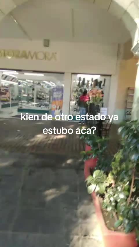 @fluiscali06