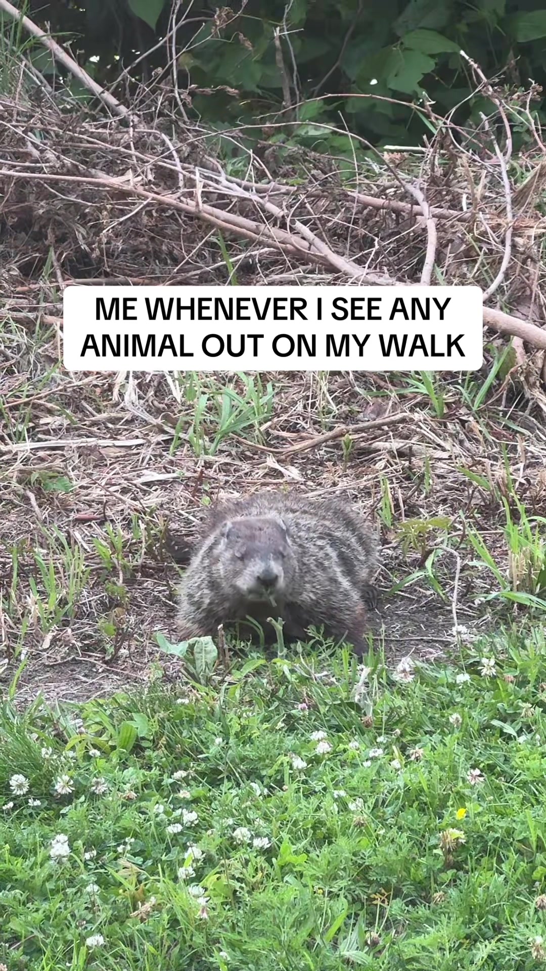 @Nichole Brooke✰