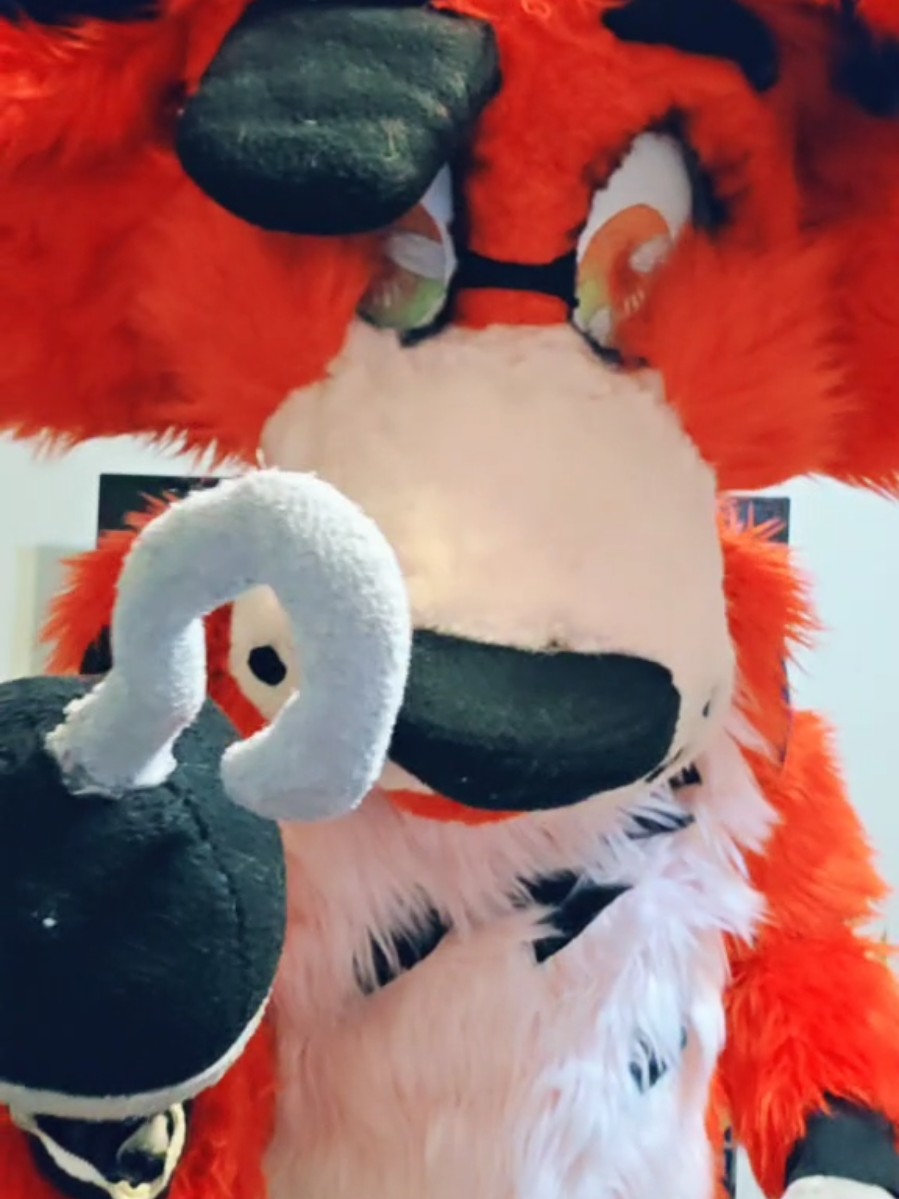 @Furry Mike