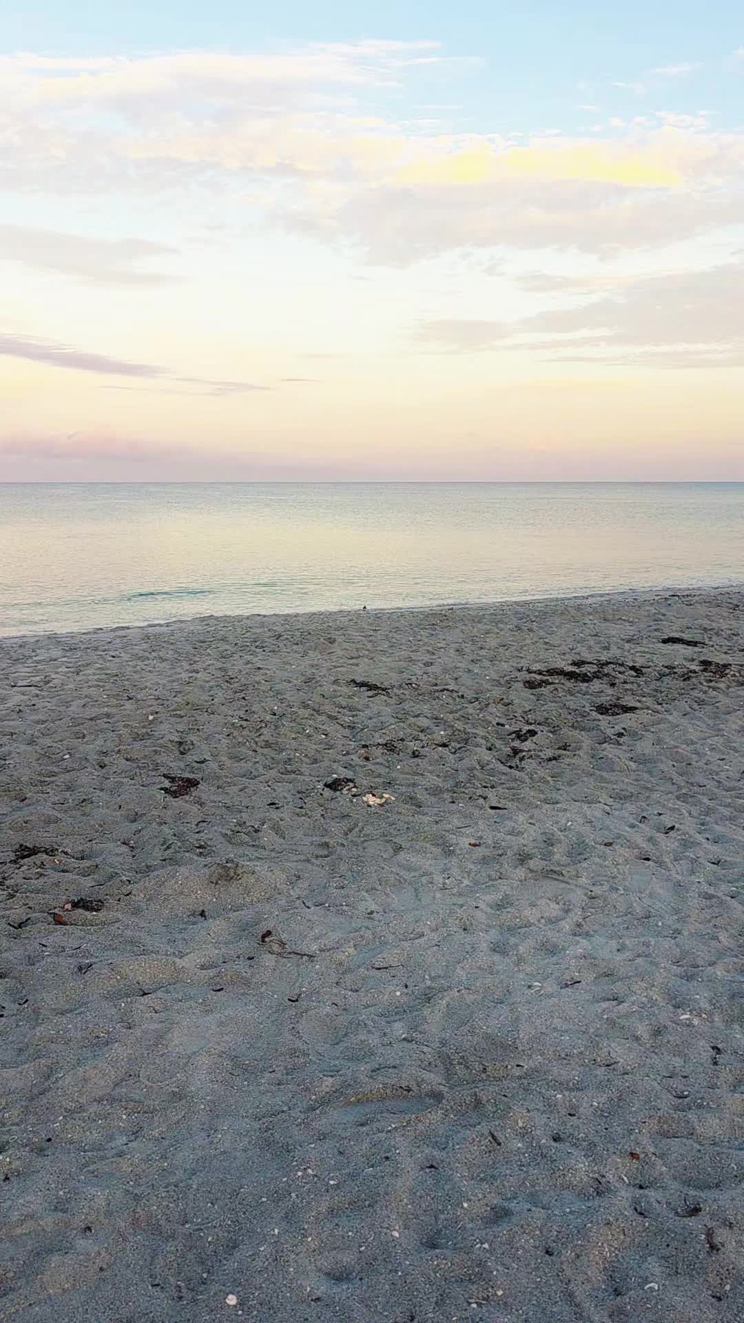 @Manasota Key Outfitters