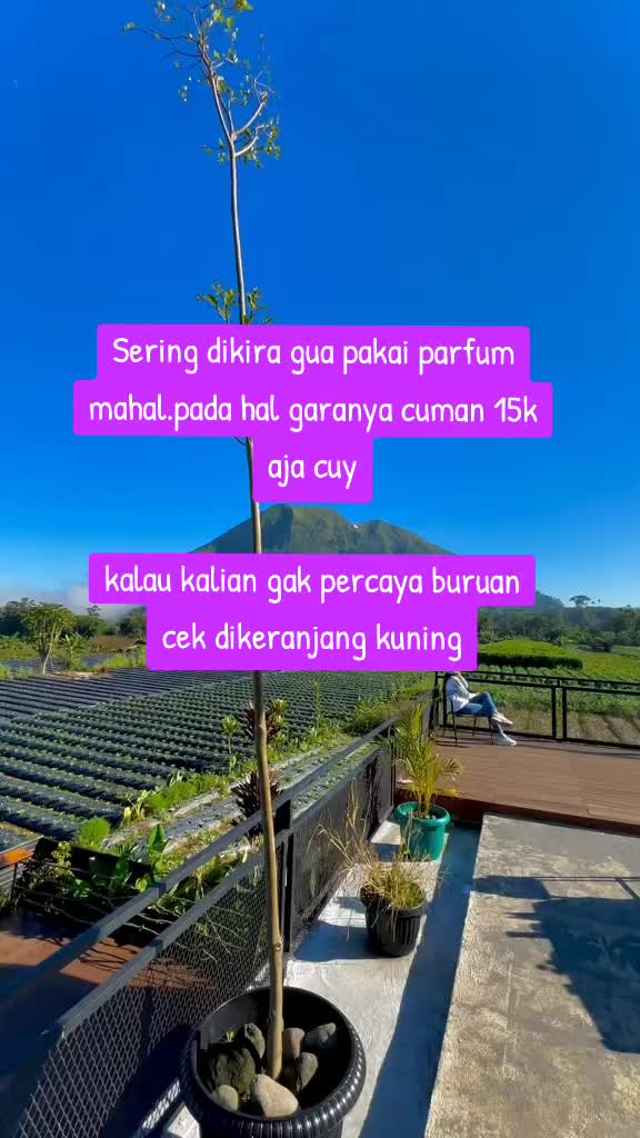 @syam silalahi 93