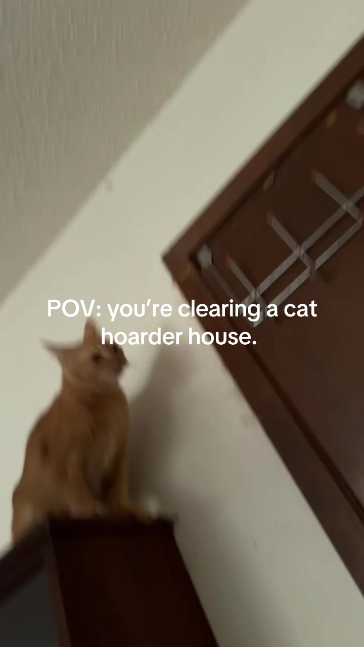 @Merideth