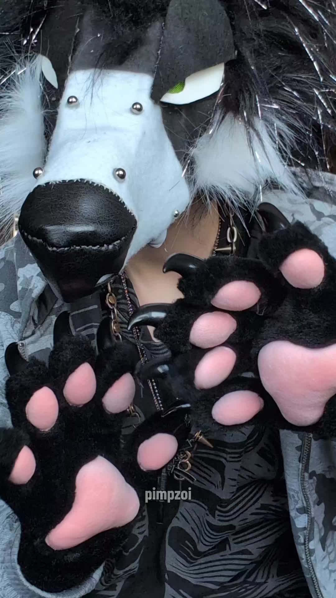 @PIMPZOI