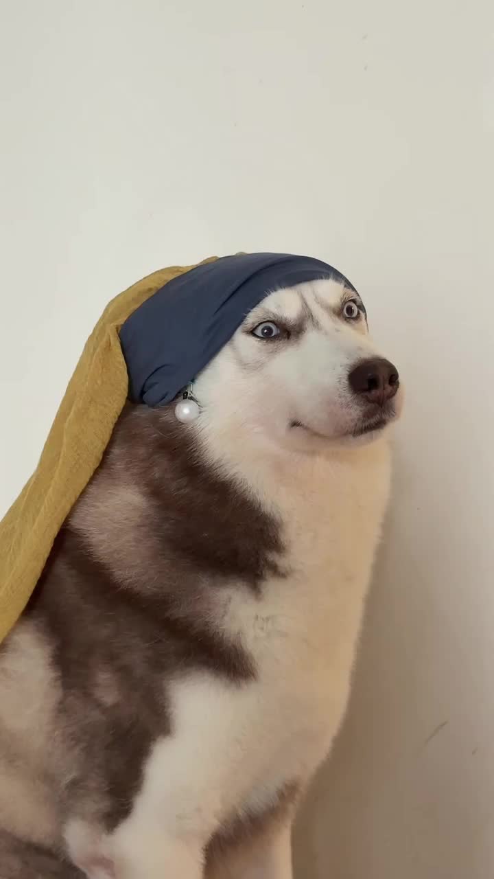 @MoewaiiCat