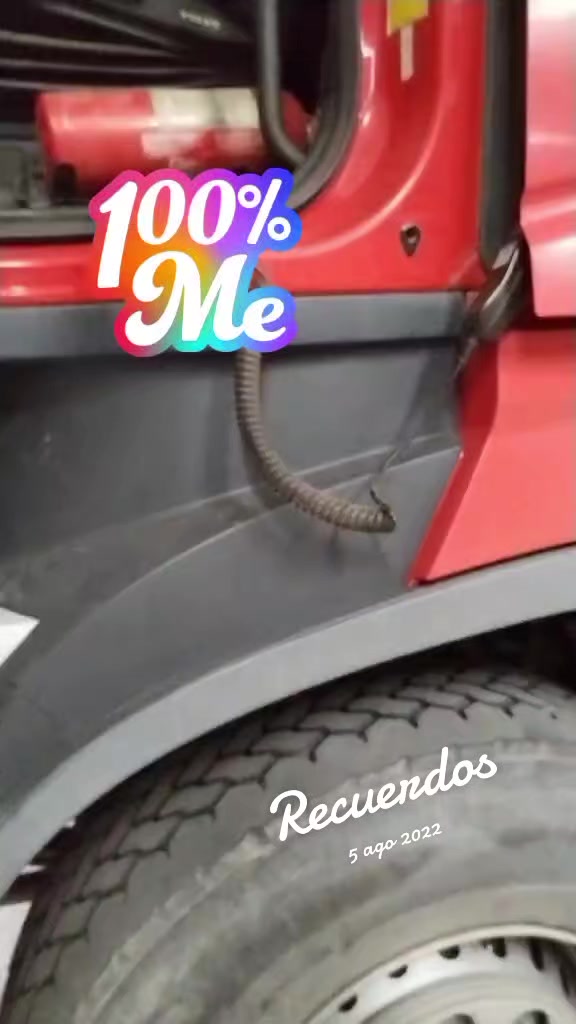 @Gonzalo Pérez Moñtaño