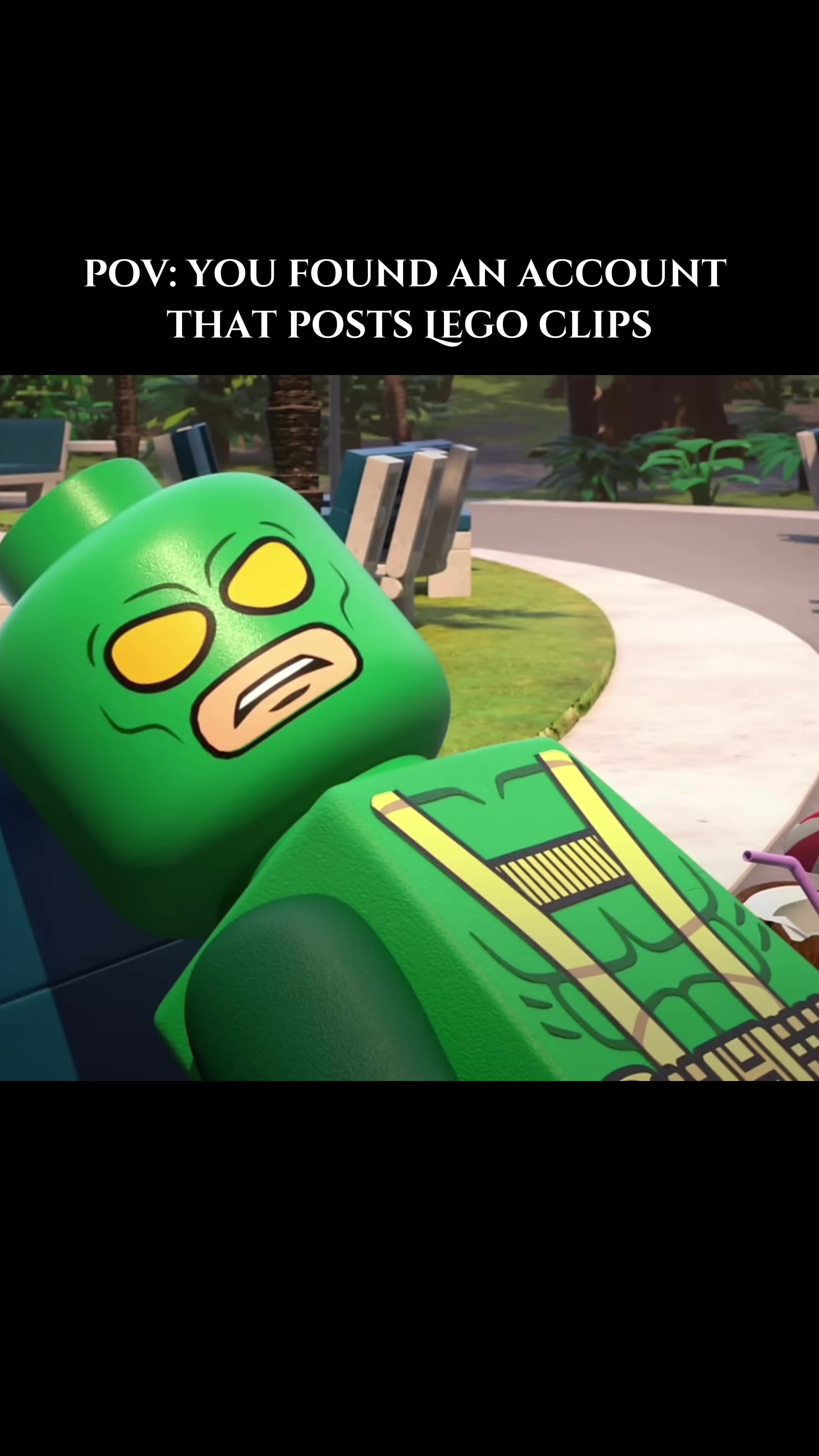 @bricknfigsdaily