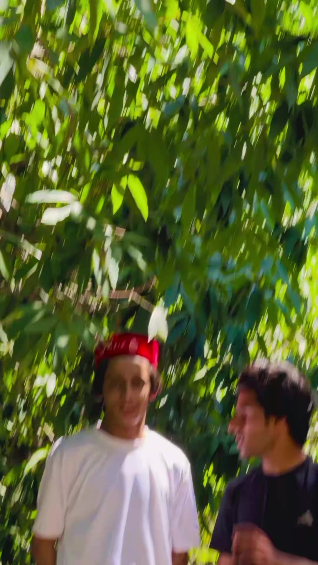 @A W A i S   J A N i