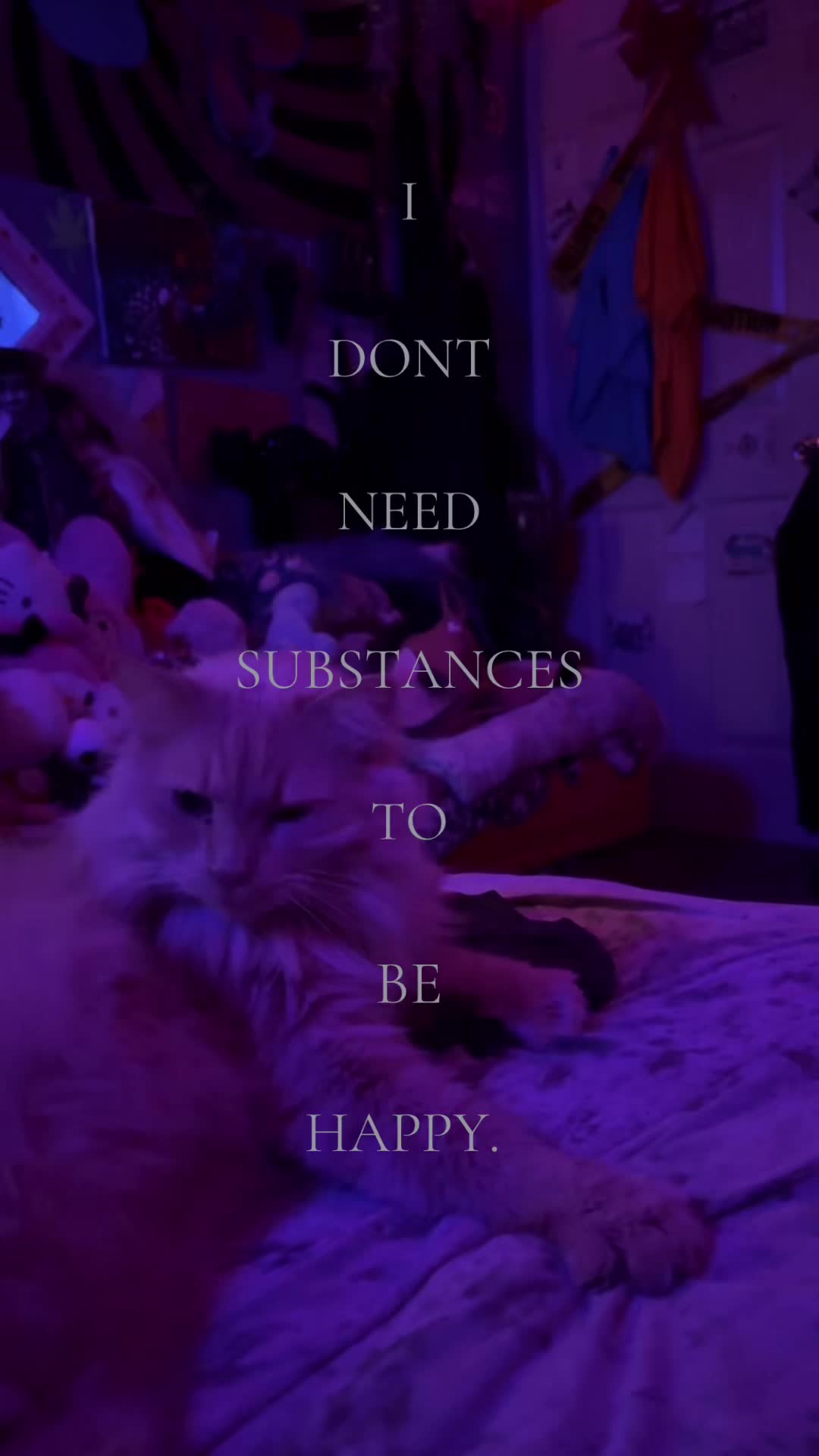 @Tina