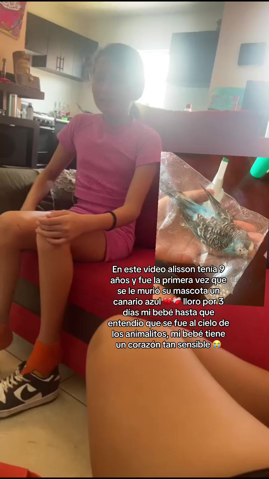 @ALISSON OFICIAL 💜