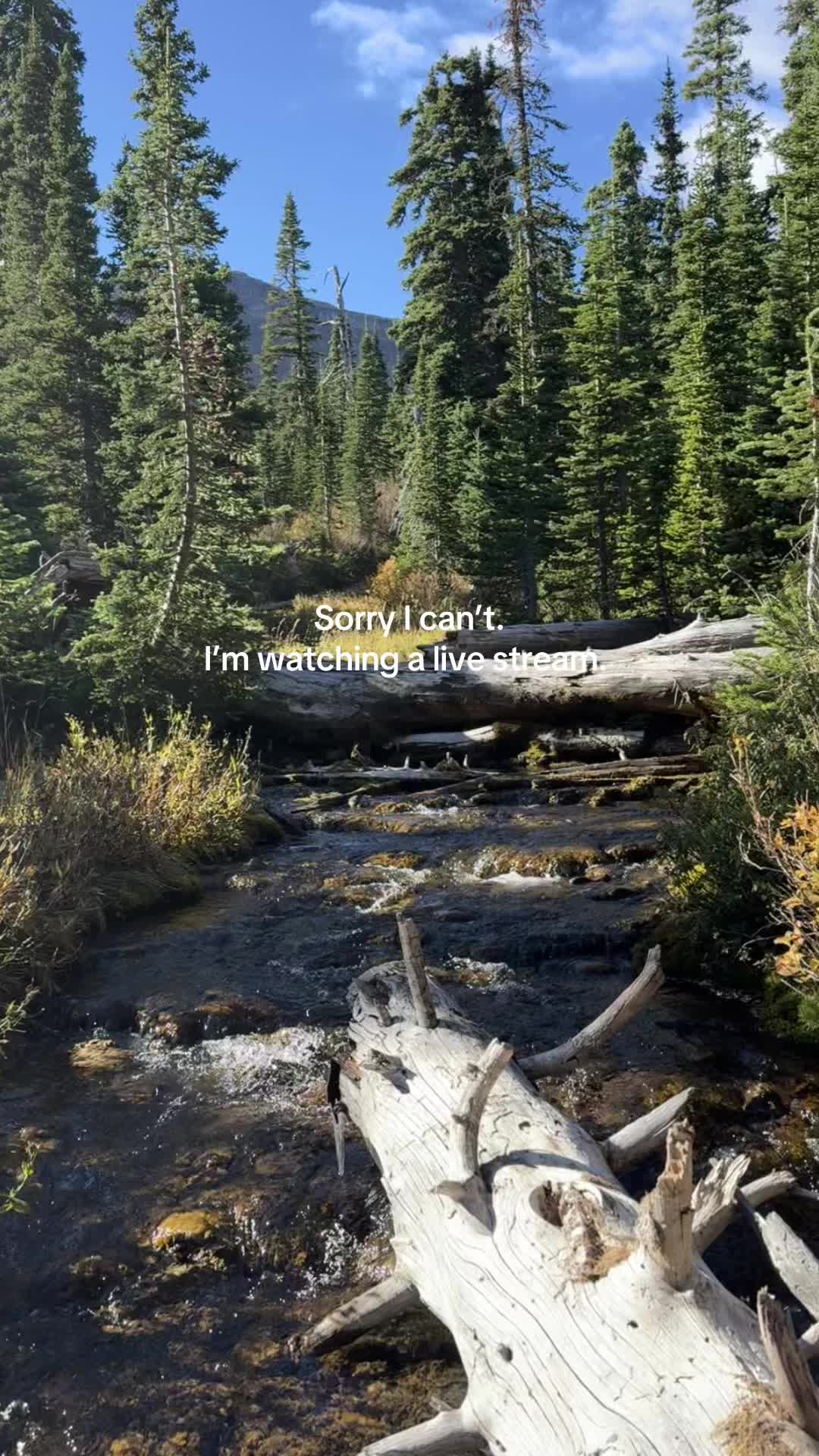 @Tamarack Outdoors