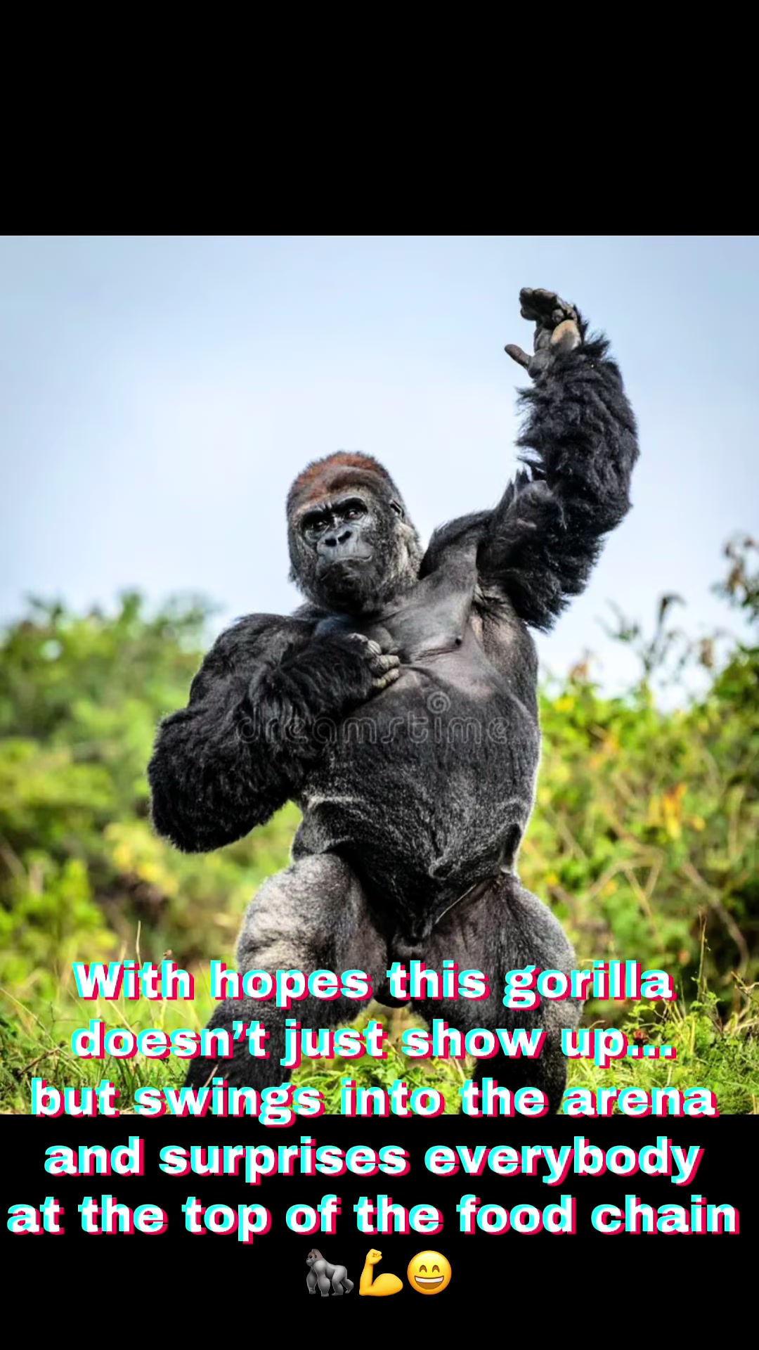 @Beast Ninja