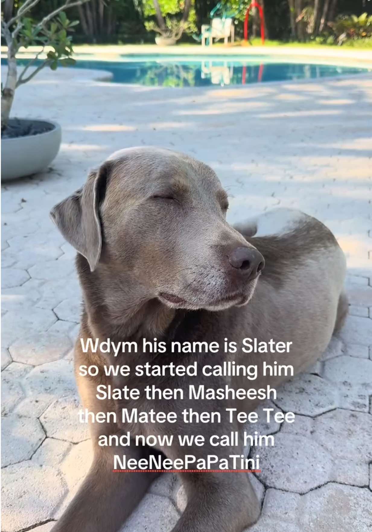 @Livingwithmacky