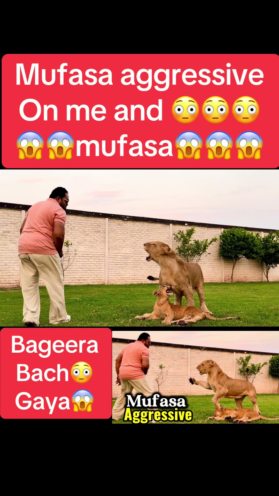 @Mian saqib
