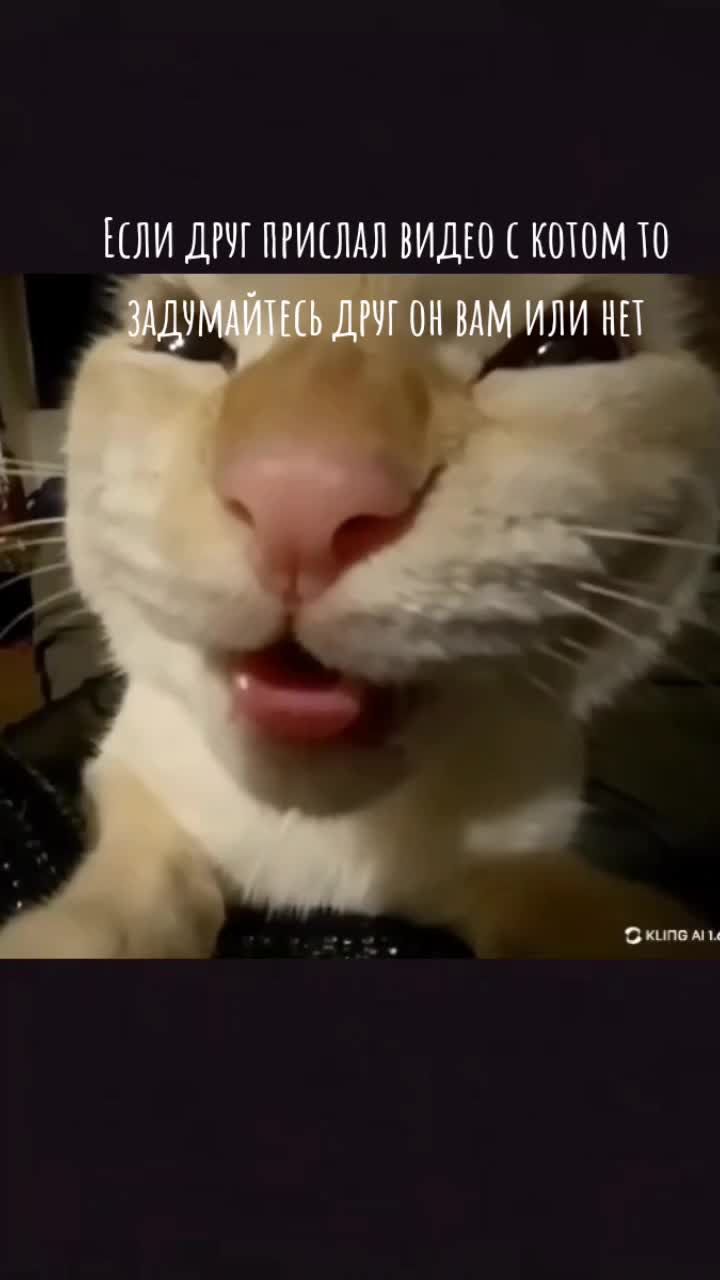 @lev4ik