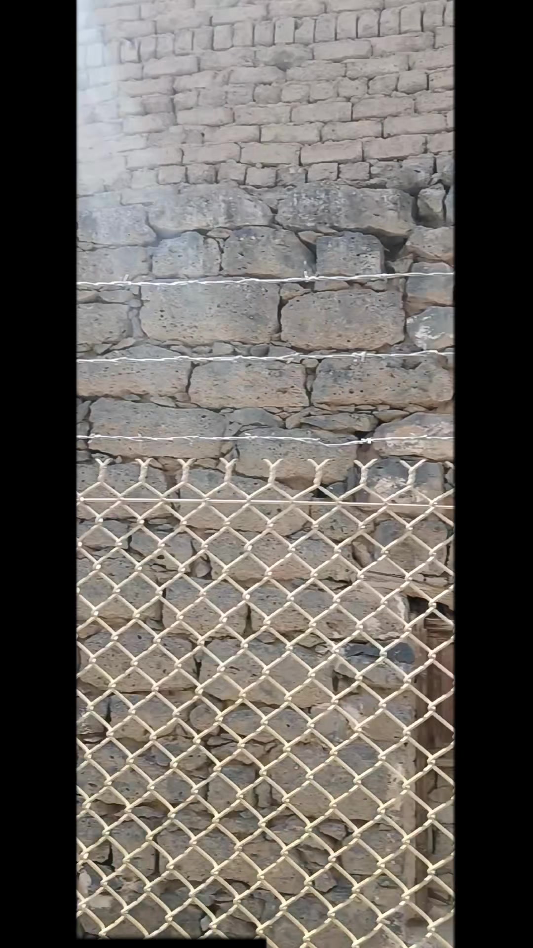 @ʄǟʀiֆ _🦁