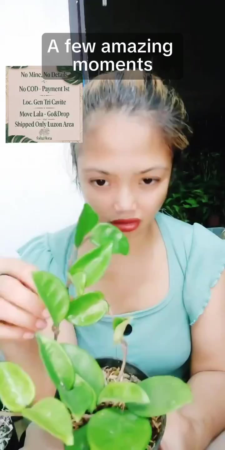 @mhie_nie gorgeous plantita