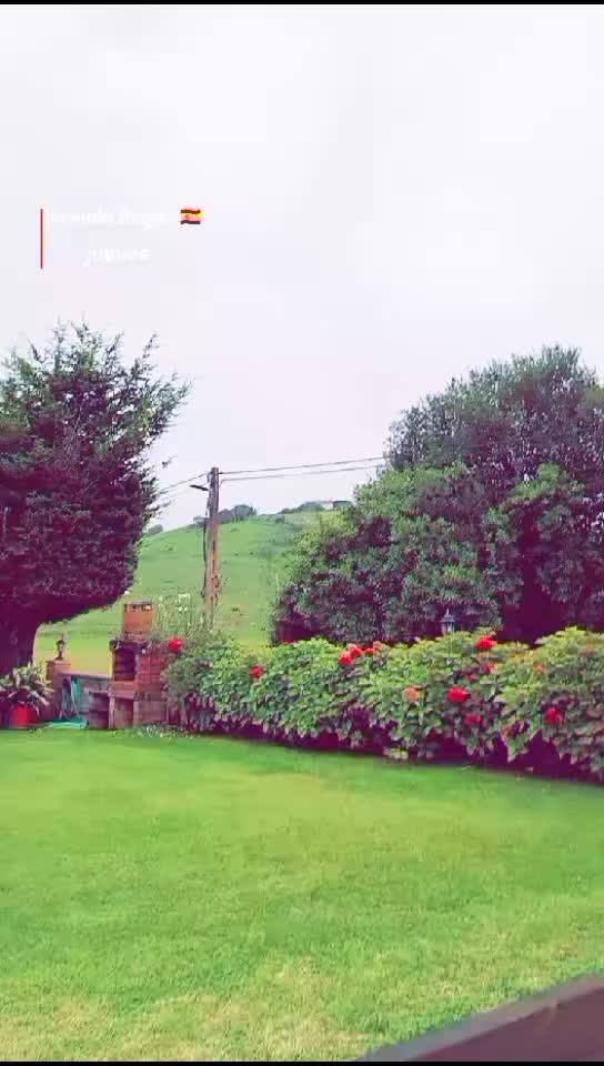 @Hamada 🦁