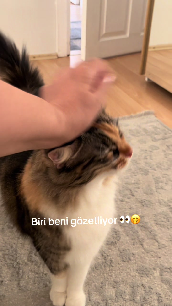 @konusankediminnos