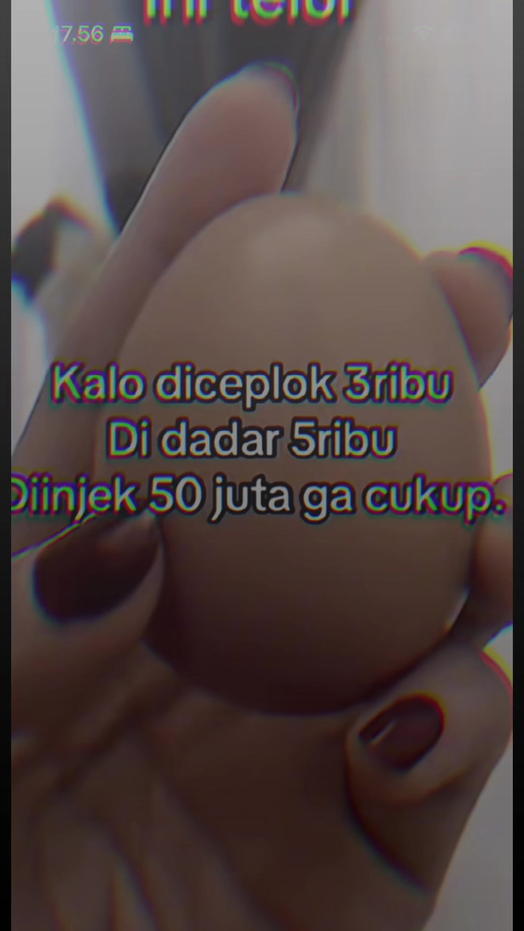 @sal