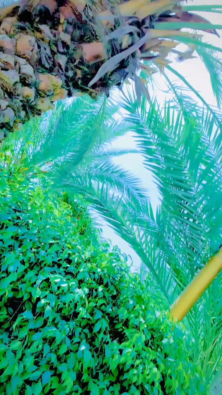 @𝑰𝒕𝒙𝑪𝒉𝒂𝒎𝒂𝒏ج𝖚𝖙𝖙🥷🏻