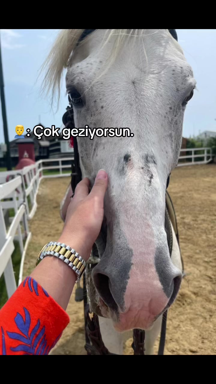 @Buse Fıçıyapan