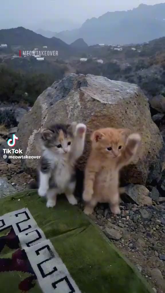 @๐ค๐ค๐ค๐ค๐ค๐ค๐ค ๐ค๐ค