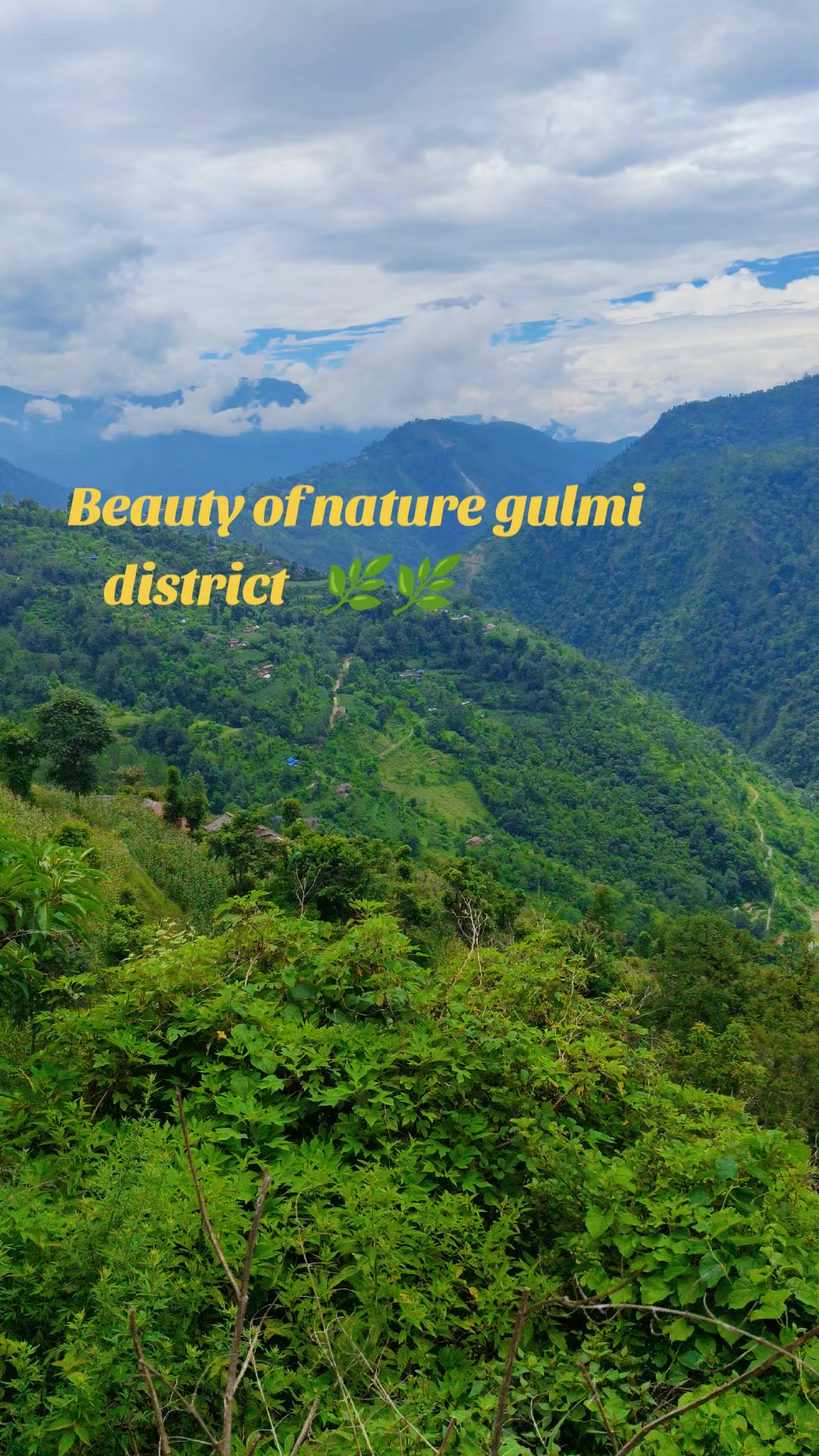 @🌷🌱 khu-si🌿🌲