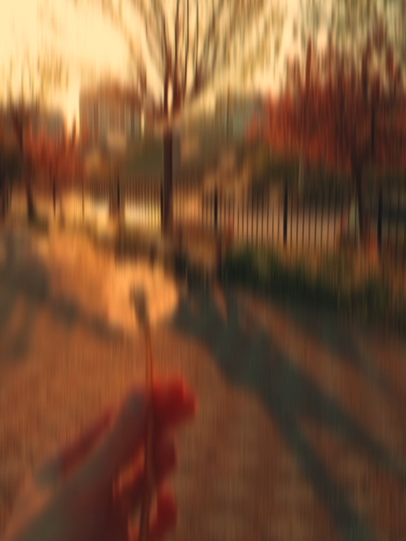 @𝑴𝑨𝑹𝑨𝑴 𝑺𝒀