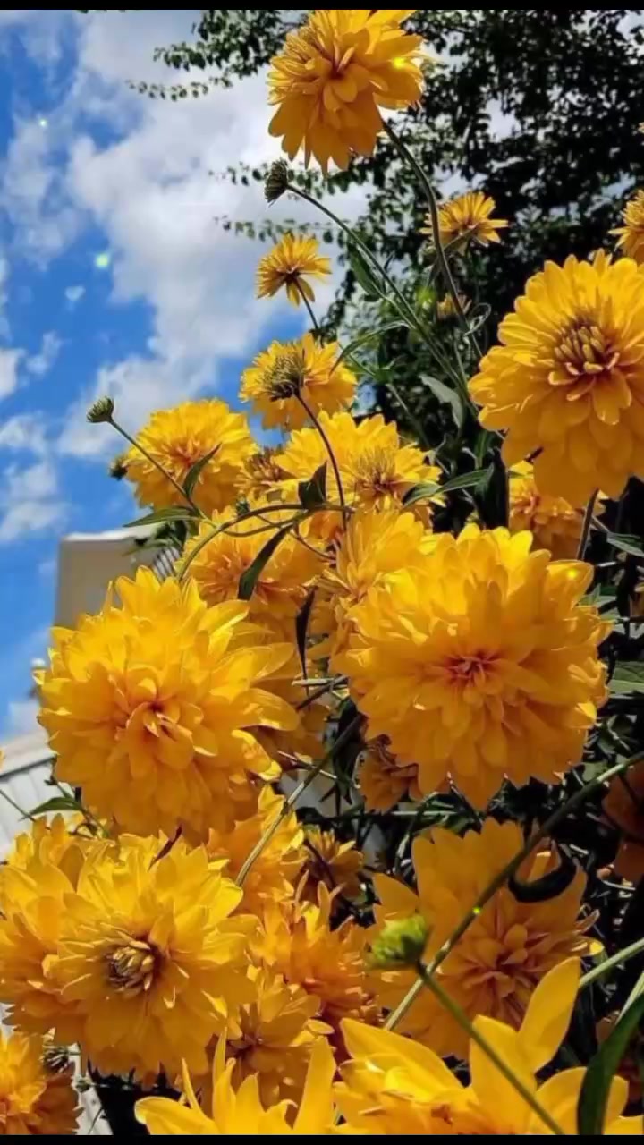 @Валюша🥰🥰🥰