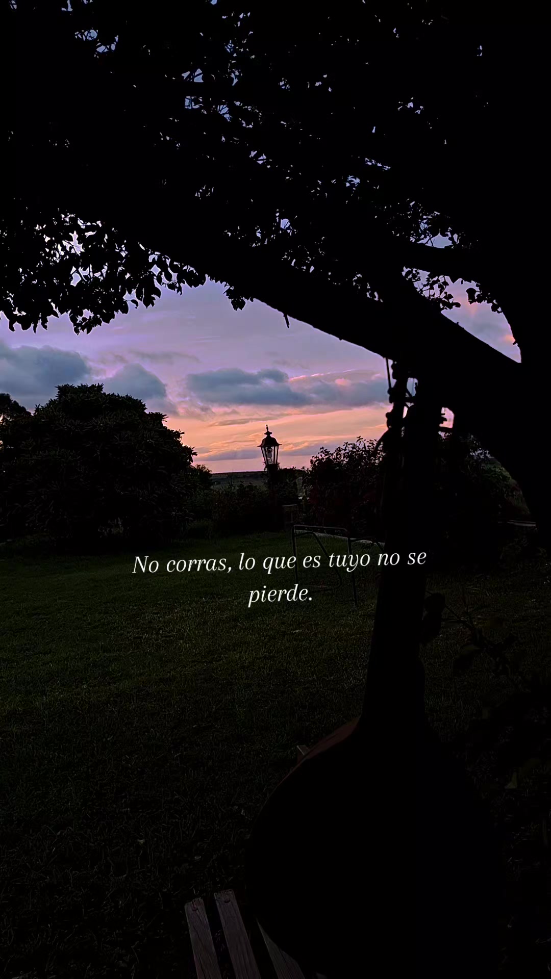 @Liizz Palacios