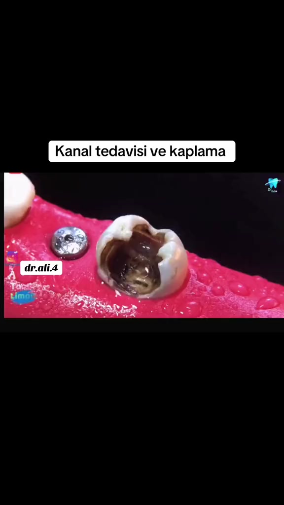 @⚜️ ALİ ⚜️
