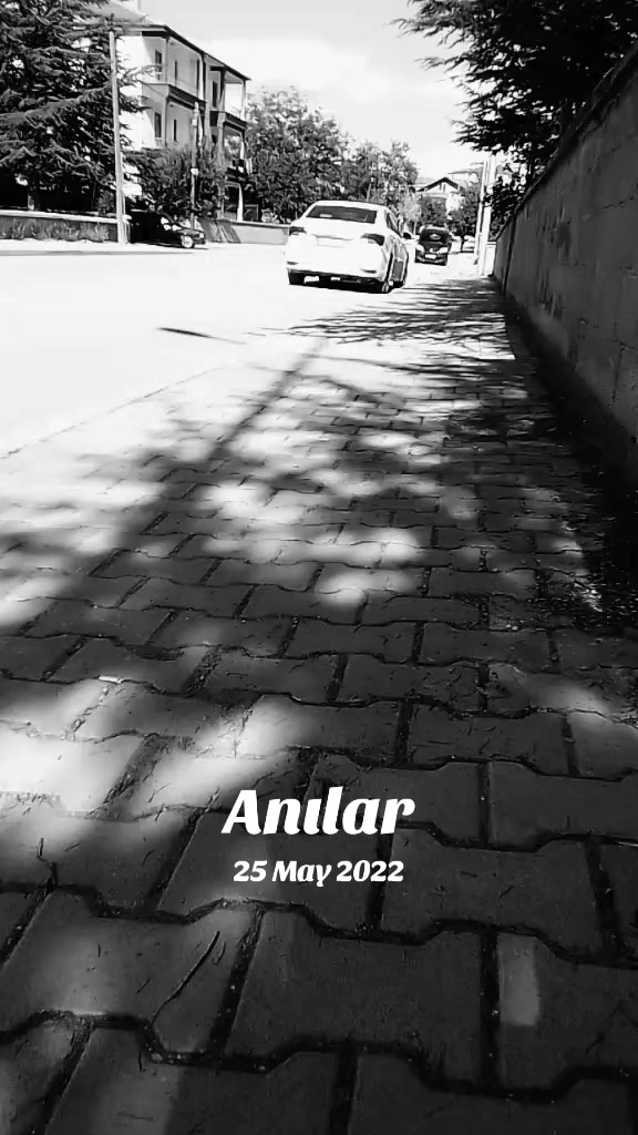 @MURAT 🐺 ERDAL 66.