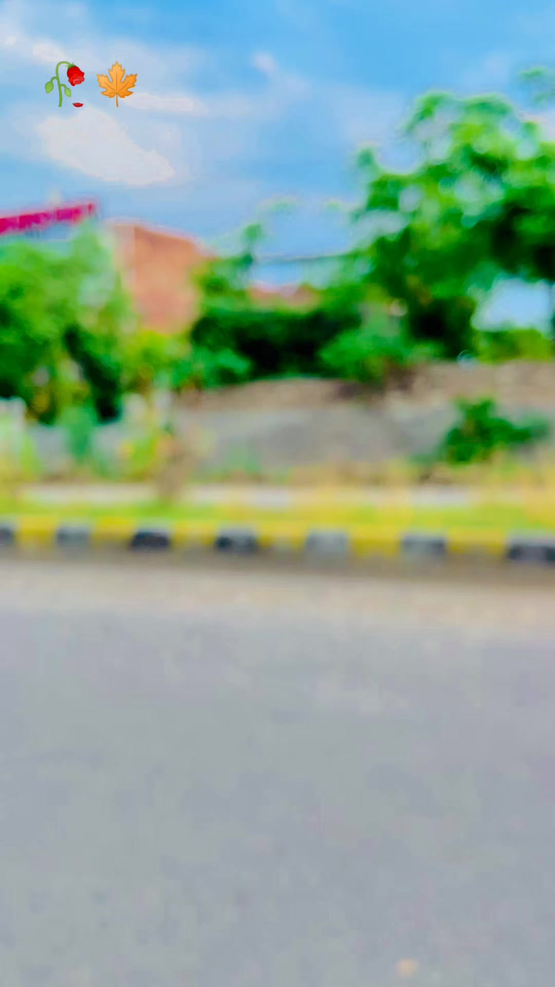 @چوکاں آلی (شہذادی)🥀