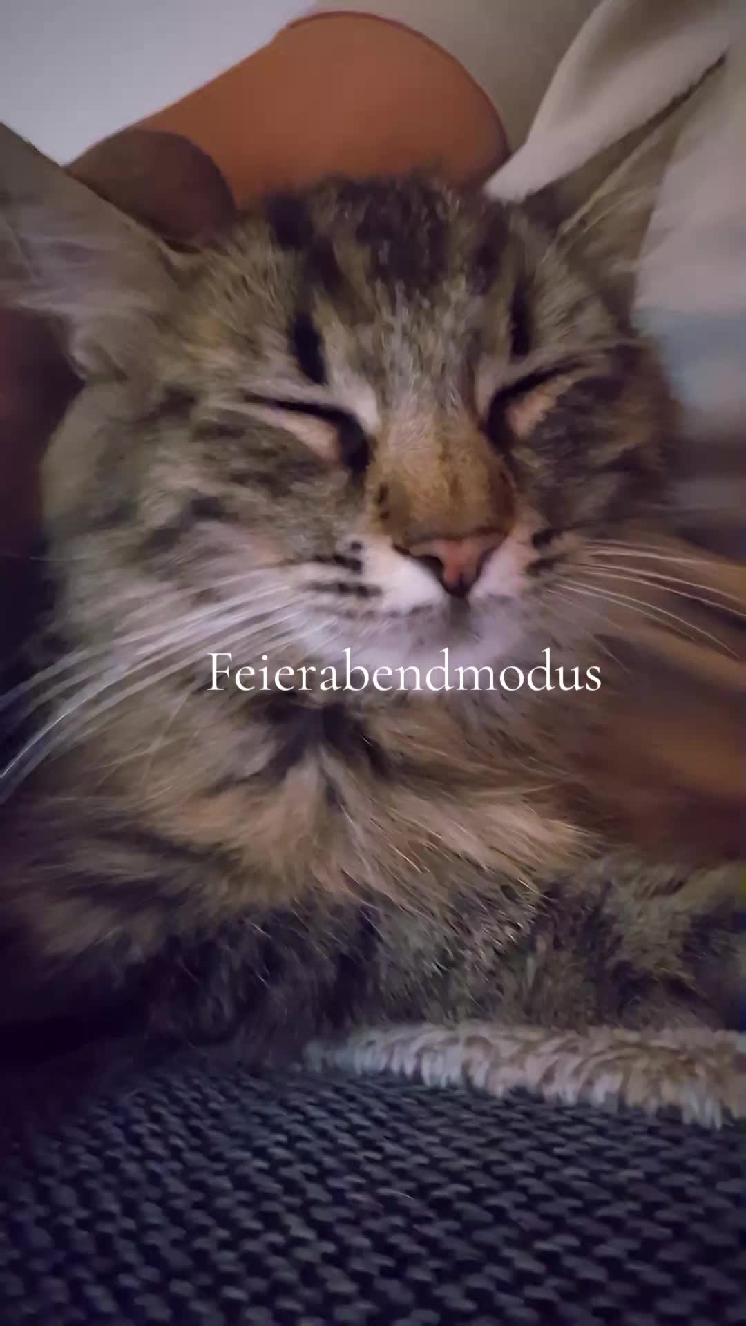 @Klausi24/7