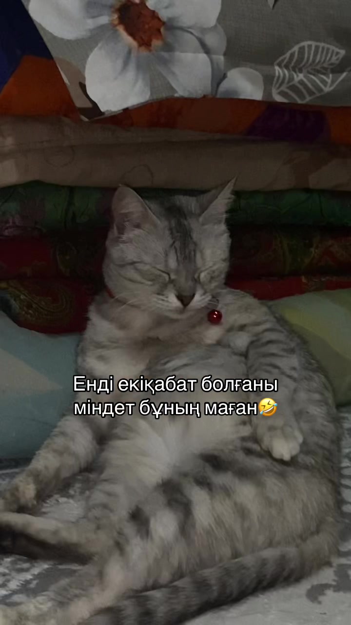 @boni04akx