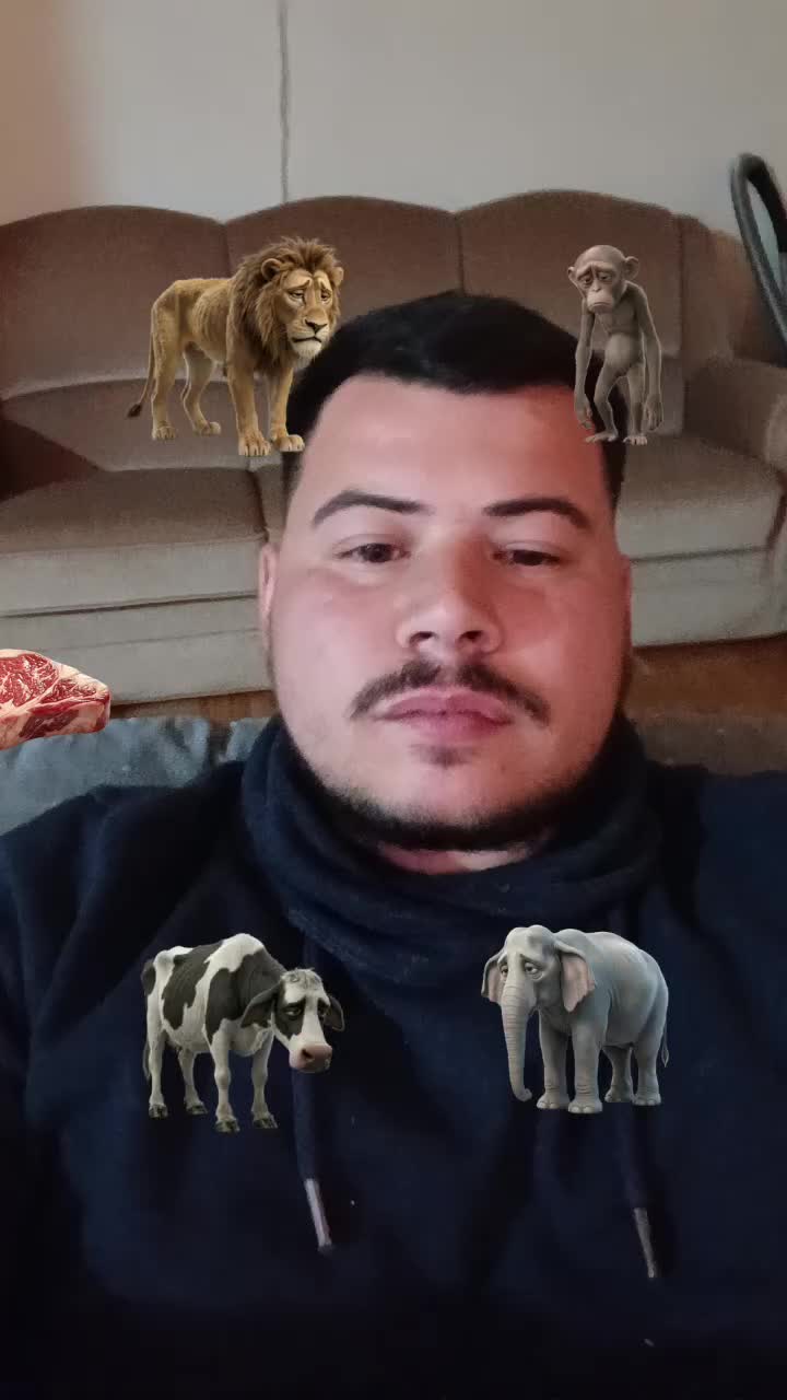 @Ibrahim&ensp;sherife