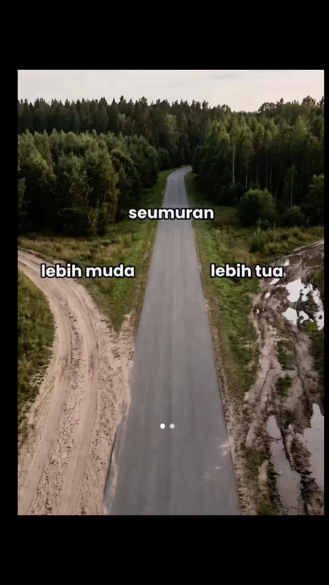 @Sinta Wangon