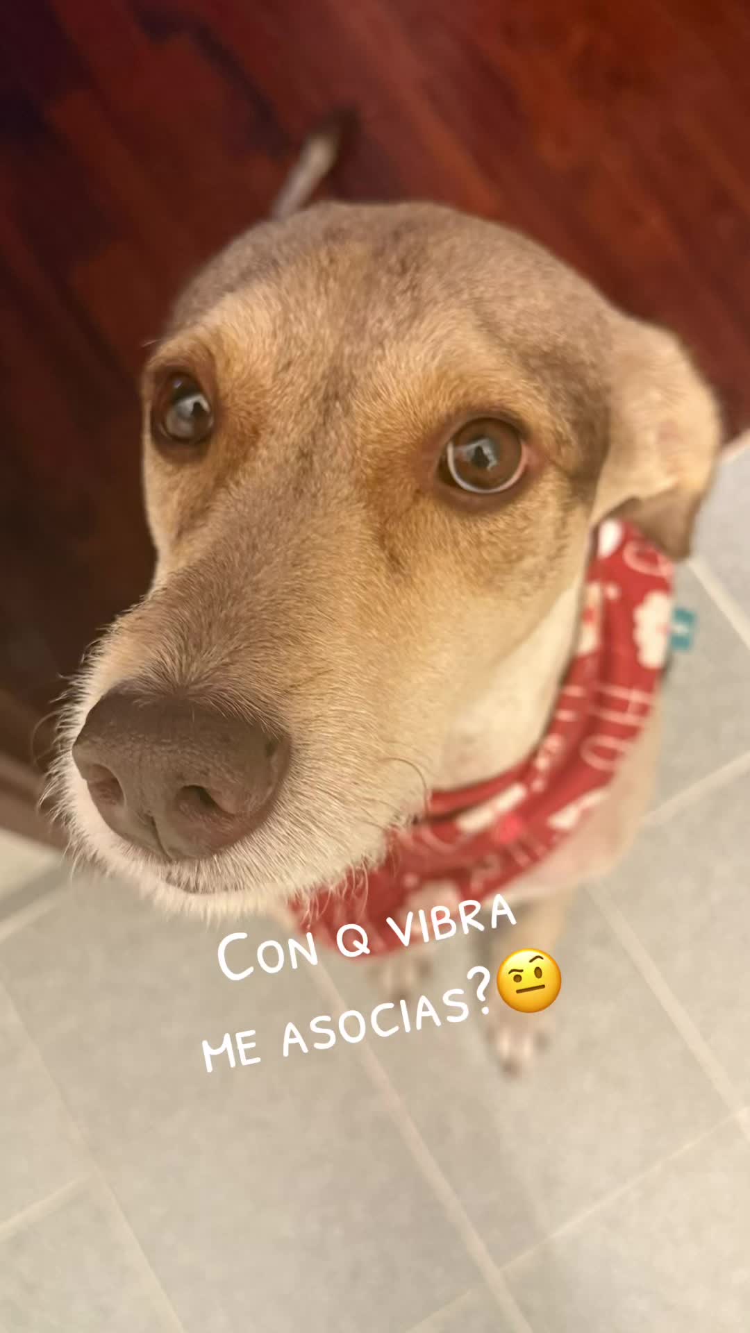 @Michelle Espinoza