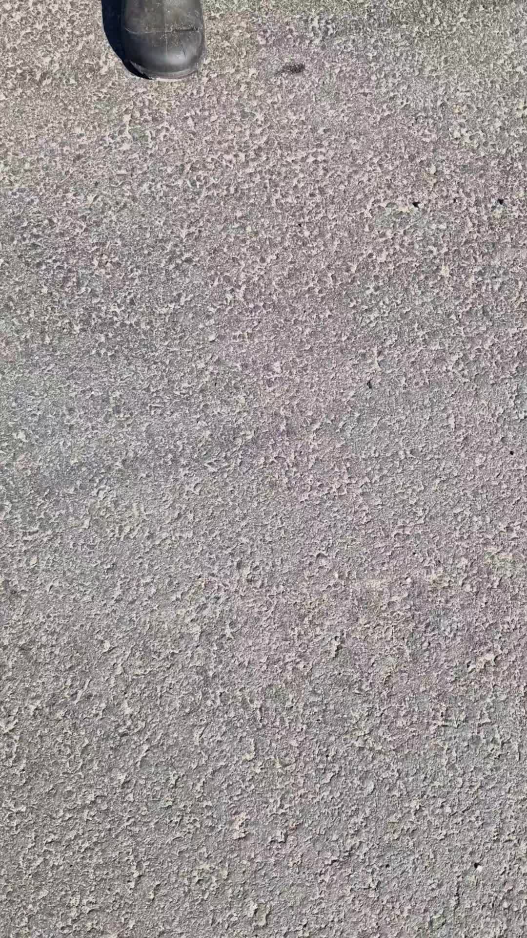 @_dzikiwschod_