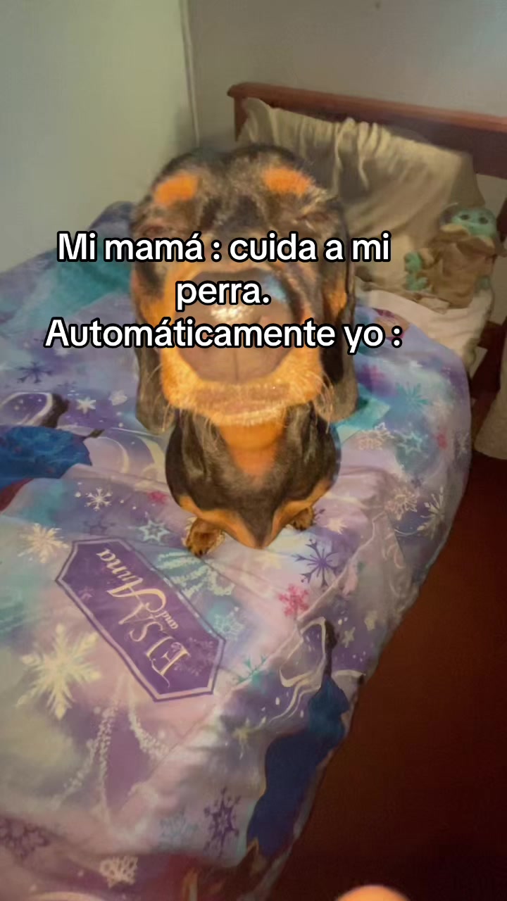 @zoe valentina