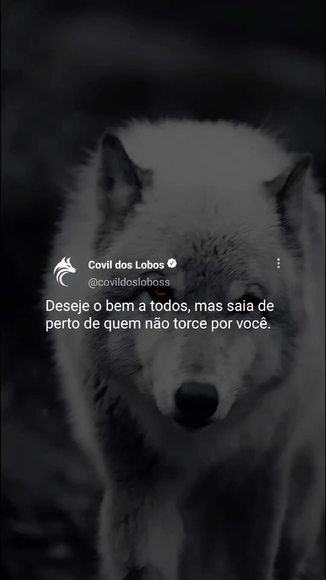 @Covil Dos Lobos