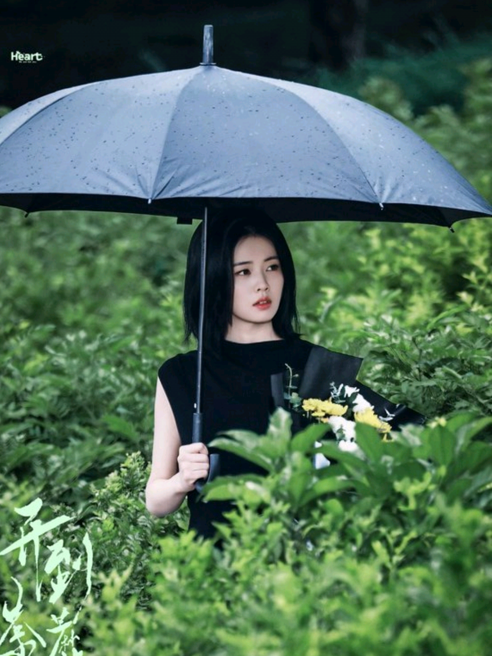 @𝑙𝑢𝑙𝑢