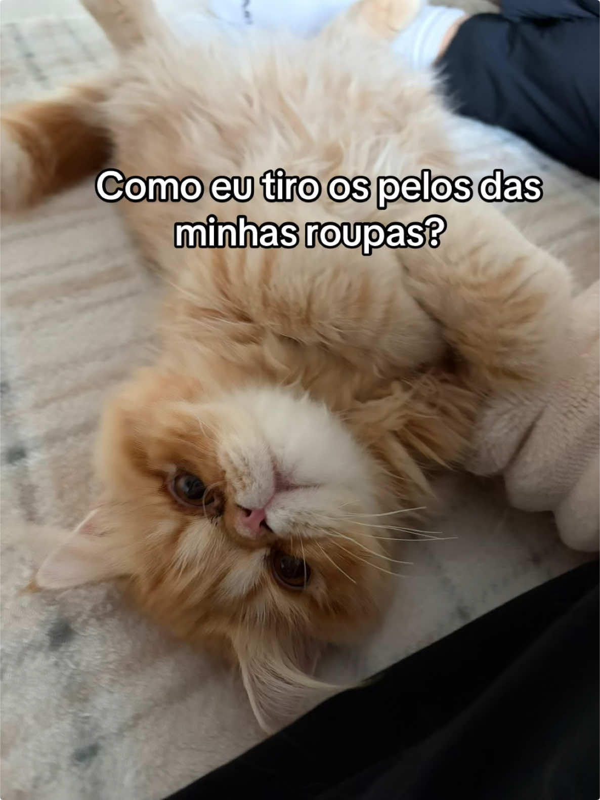 @𝓐𝓷𝓰𝓮𝓵 𝓝𝔂𝔁🐈⬛🦇⚡️