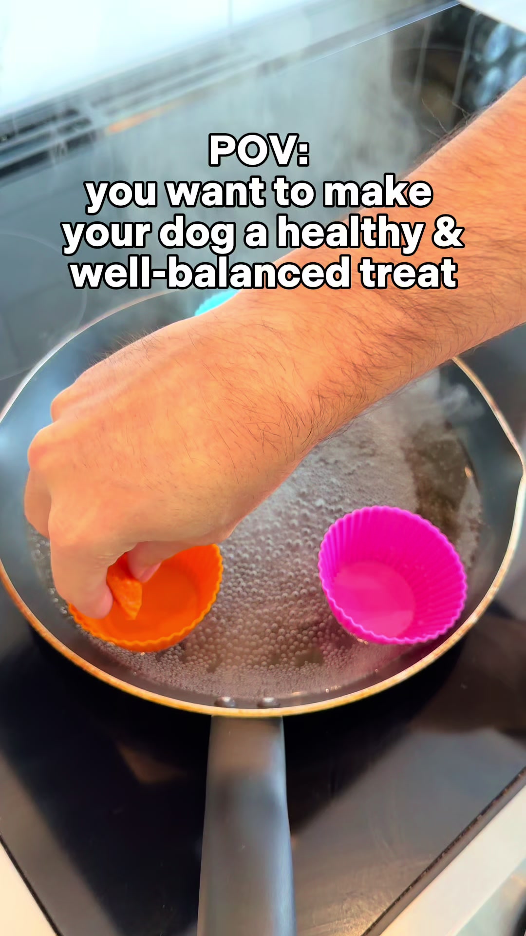 @Dogs Made Simple