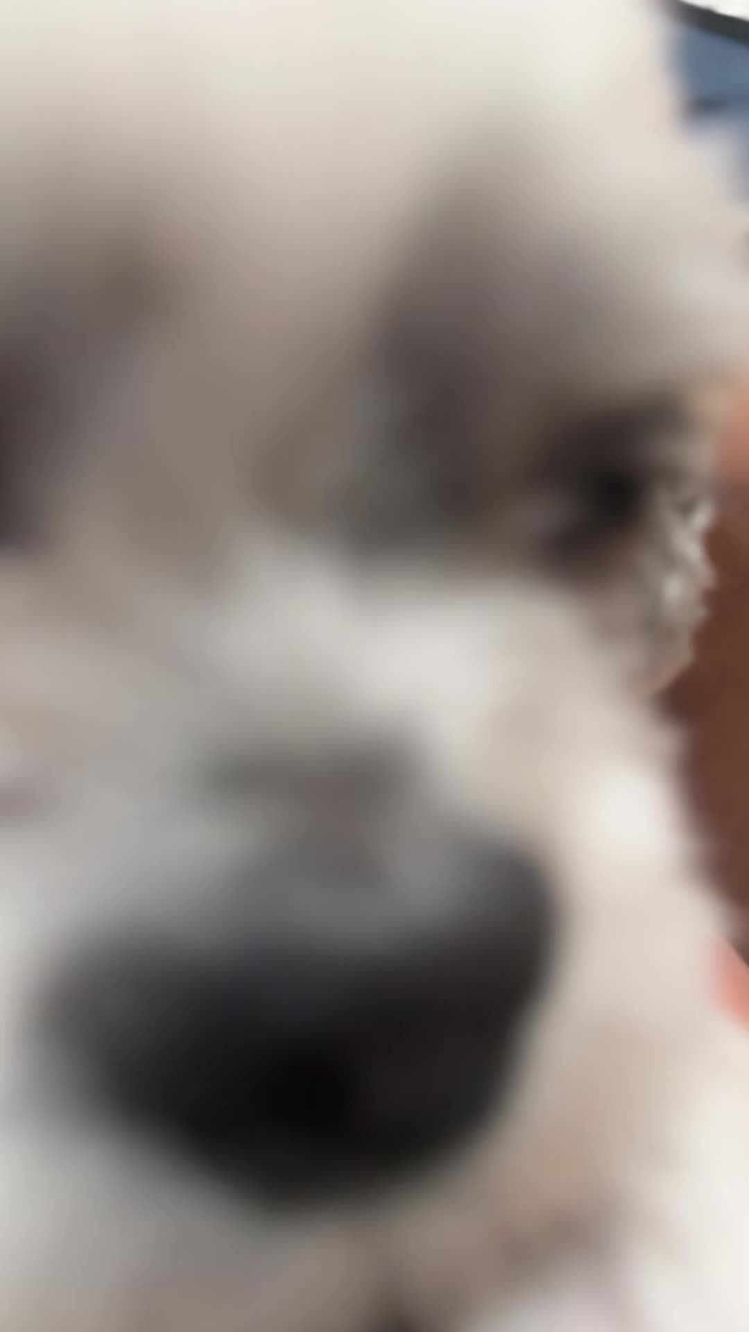 @ch1theon1