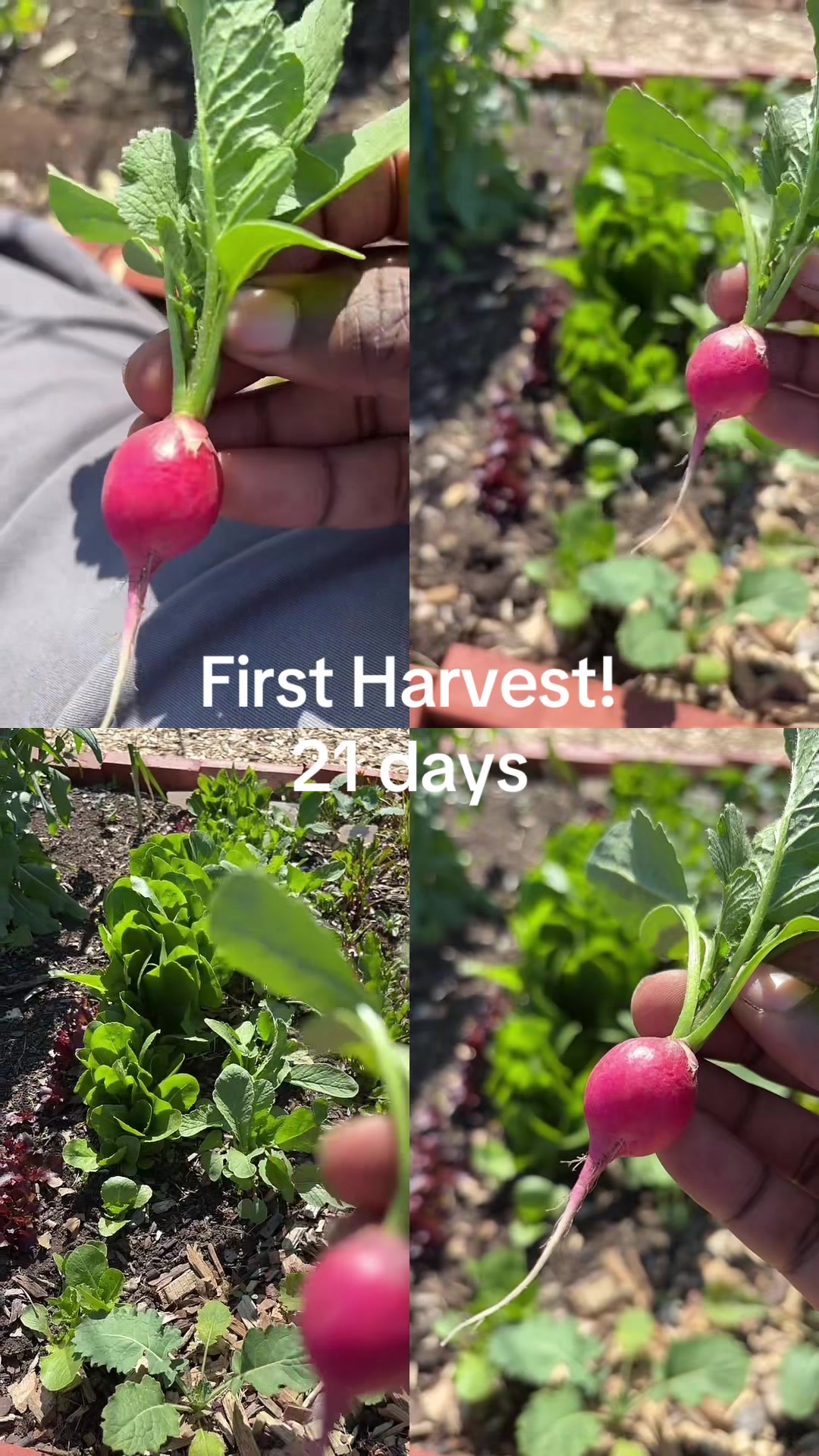 @greengirlgardens