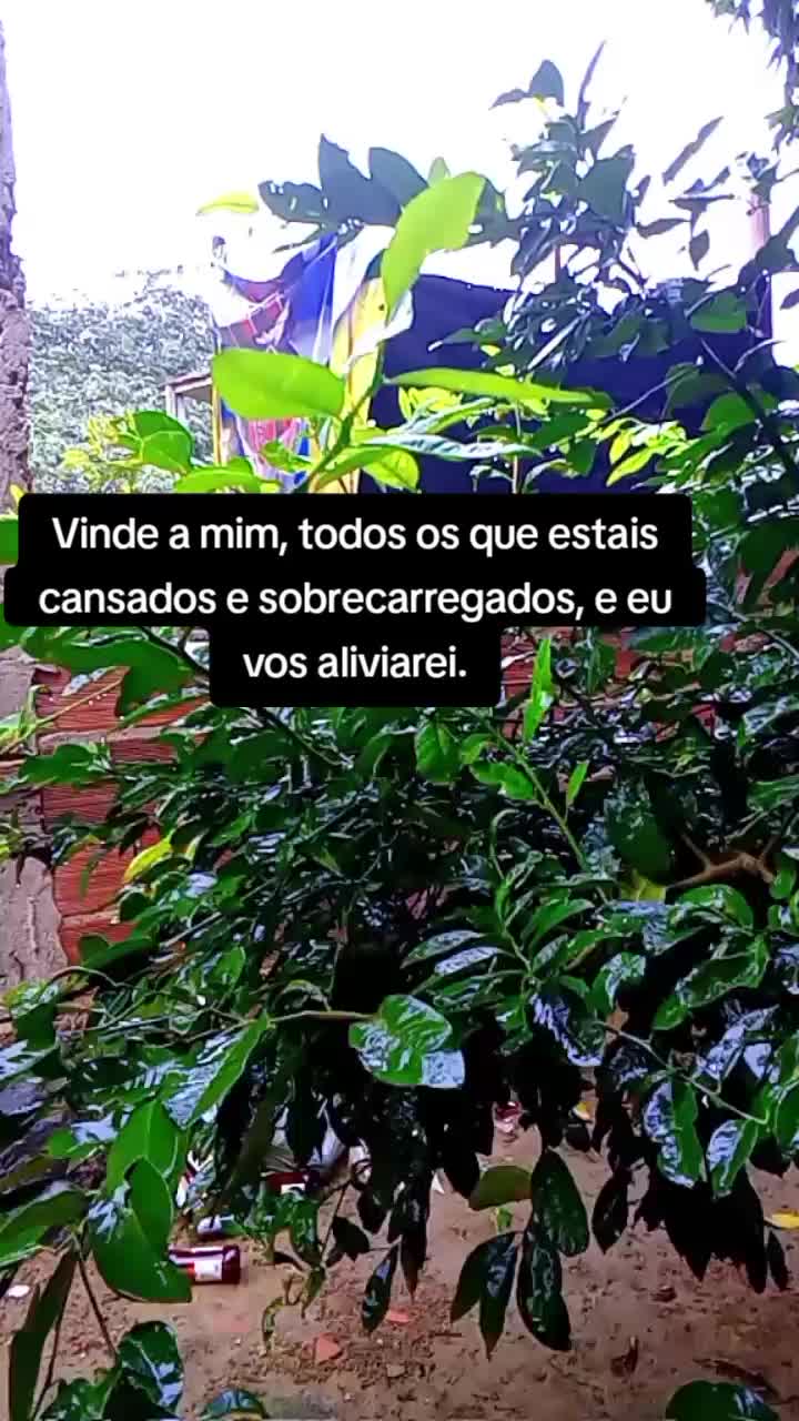 @Potiraguá Bahía e região