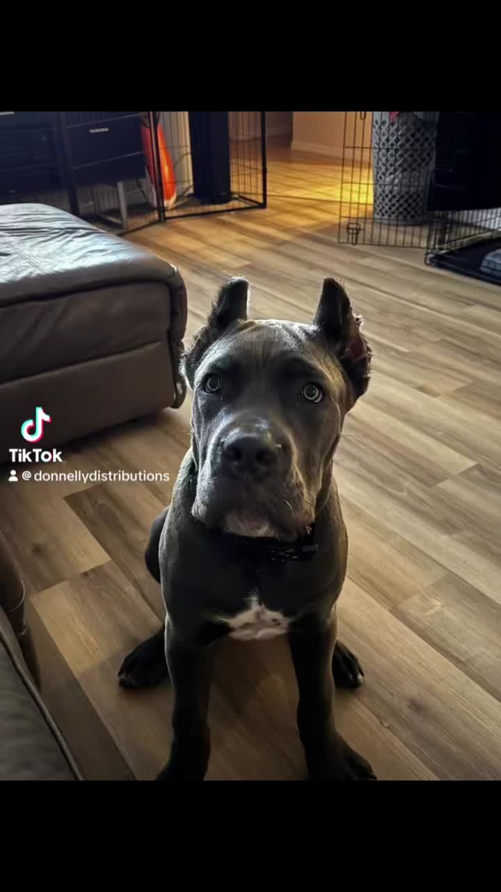 @ScoobysKitchen