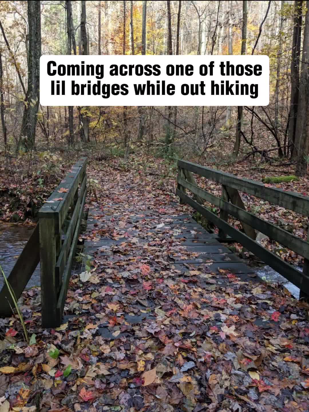 @Forrest of the Memes