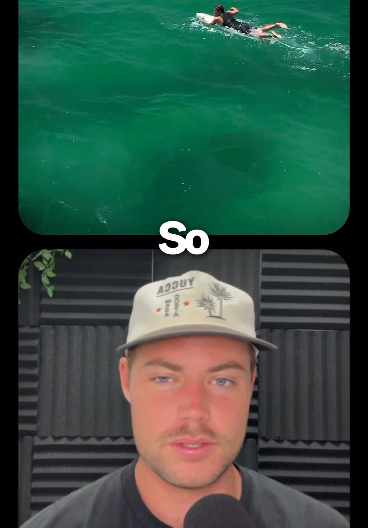 @Surftok